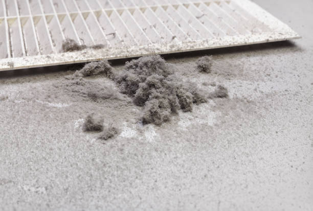 Best Best Air Duct Cleaning Company  in Winter Springs, FL