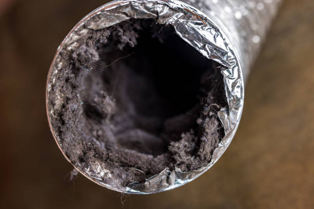 Best Air Duct Cleaning Near Me  in Winter Springs, FL