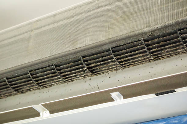 Best Commercial Air Duct Cleaning  in Winter Springs, FL